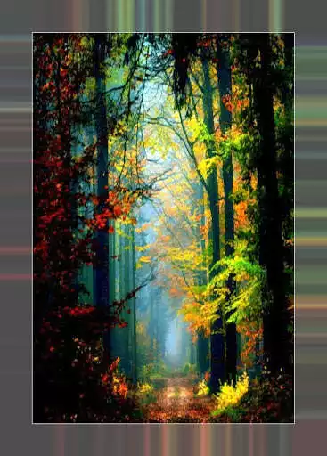 Play Autumn landscapes as an online game Autumn landscapes with UptoPlay