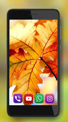 Play Autumn Leaf HD  and enjoy Autumn Leaf HD with UptoPlay