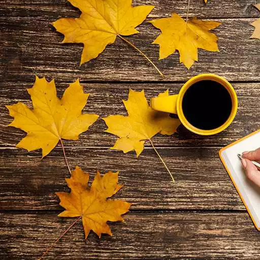Free play online Autumn Leaves Live Wallpapers  APK