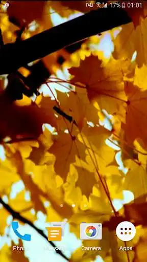 Play Autumn Leaves Video Wallpaper  and enjoy Autumn Leaves Video Wallpaper with UptoPlay