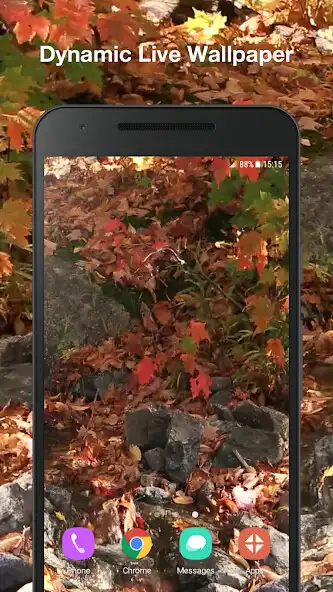 Play Autumn Live Wallpaper Pro  and enjoy Autumn Live Wallpaper Pro with UptoPlay