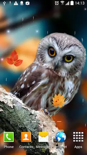 Play Autumn Live Wallpaper