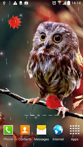 Play Autumn Live Wallpaper