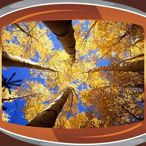 Free play online Autumn Live Wallpapers APK