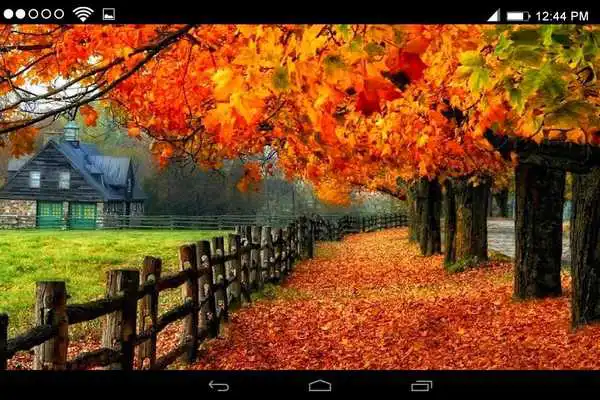 Play Autumn Live Wallpapers