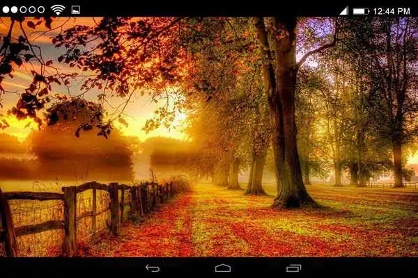 Play Autumn Live Wallpapers