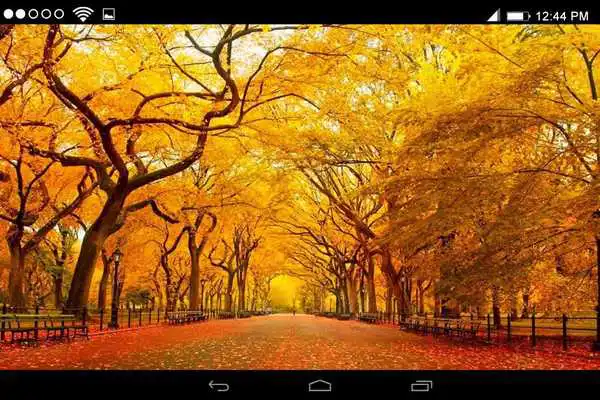 Play Autumn Live Wallpapers