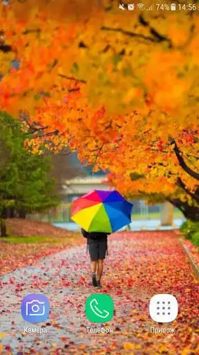 Play Autumn Love Wallpapers  and enjoy Autumn Love Wallpapers with UptoPlay
