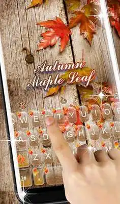 Play Autumn Maple Leaf Play Autumn Maple Leaf