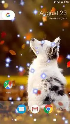 Play Autumn Memories Live Wallpaper