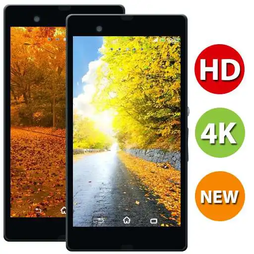 Play Autumn Nature Wallpapers - 4k & Full HD Wallpapers APK