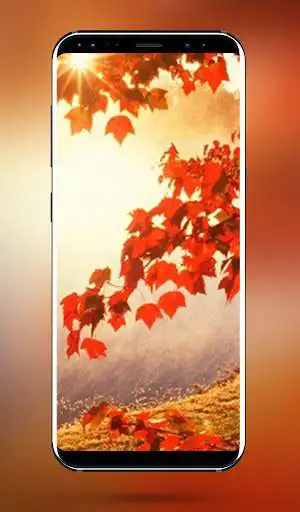 Play Autumn Nature Wallpapers - 4k & Full HD Wallpapers as an online game Autumn Nature Wallpapers - 4k & Full HD Wallpapers with UptoPlay
