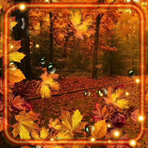 Play Autumn Night Leaves APK