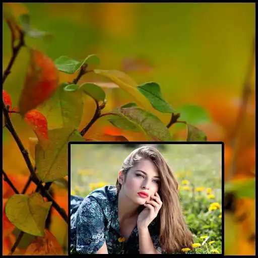 Free play online Autumn Photo Frames HD APK