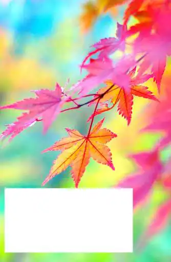 Play Autumn Photo Frames HD