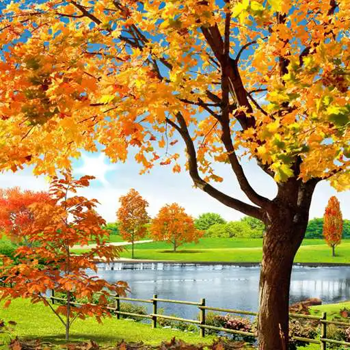 Play Autumn Pond Live Wallpaper APK