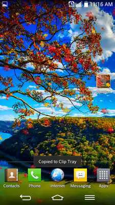 Play Autumn
