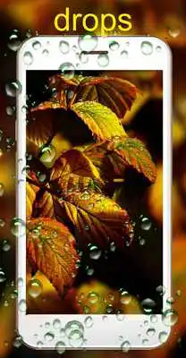 Play Autumn Sparks Live Wallpaper
