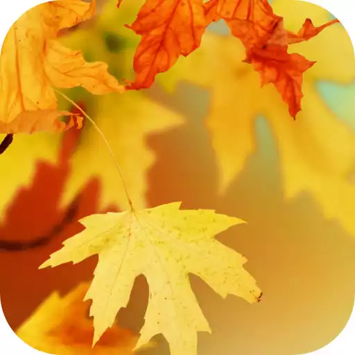 Free play online Autumn Video Wallpaper APK Free play online Autumn Video Wallpaper APK
