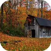 Free play online Autumn Wallpaper HD Free APK