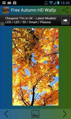 Play Autumn Wallpaper HD Free