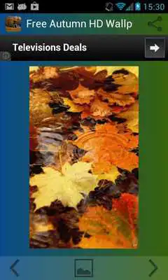 Play Autumn Wallpaper HD Free