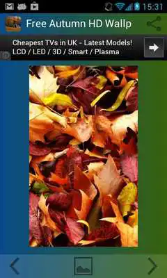 Play Autumn Wallpaper HD Free