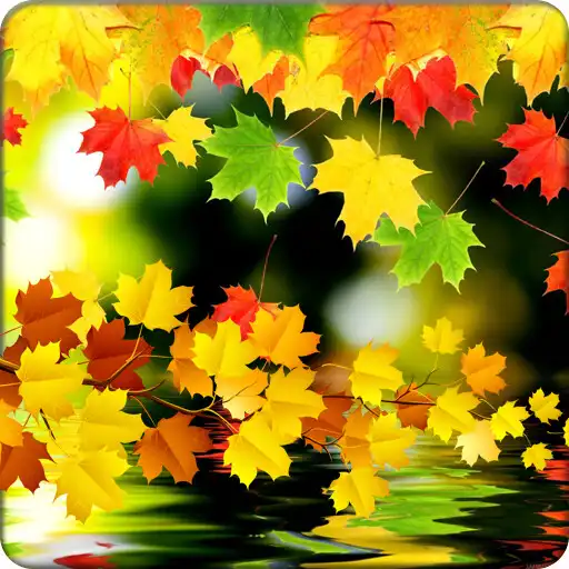 Run free android online Autumn Wallpaper HD APK