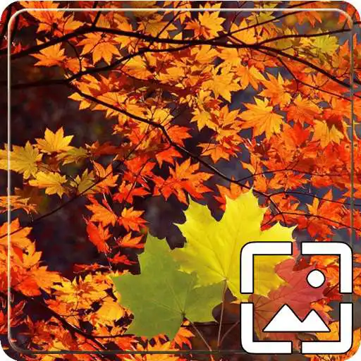 Free play online Autumn Wallpapers HD APK Free play online Autumn Wallpapers HD APK