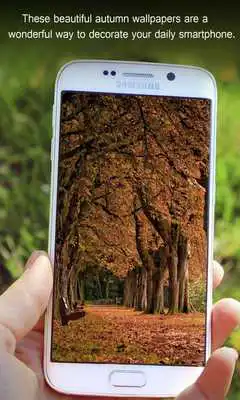 Play Autumn Wallpapers HD