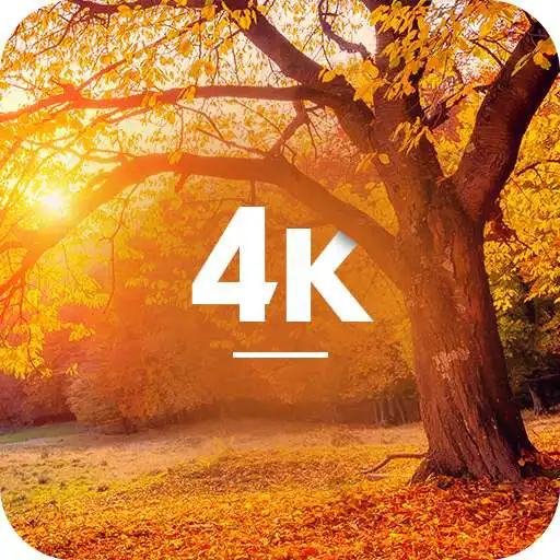 Play Autumn Wallpapers in 4K APK