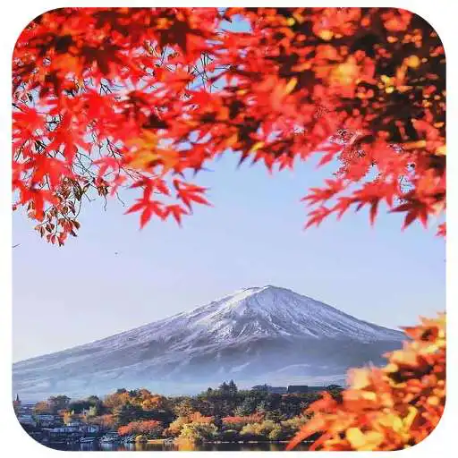 Play Autumn Wallpapers Live APK