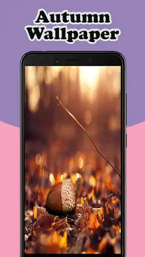 Play Autumn Wallpapers Live and enjoy Autumn Wallpapers Live with UptoPlay Play Autumn Wallpapers Live and enjoy Autumn Wallpapers Live with UptoPlay