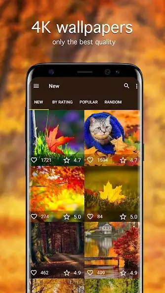 Play Autumn Wallpapers PRO  and enjoy Autumn Wallpapers PRO with UptoPlay