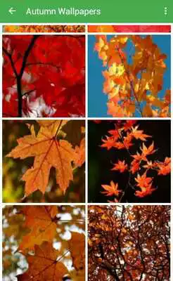 Play Autumn Wallpapers
