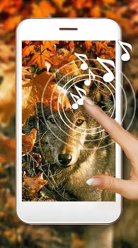 Play Autumn Wolf Live Wallpaper  and enjoy Autumn Wolf Live Wallpaper with UptoPlay