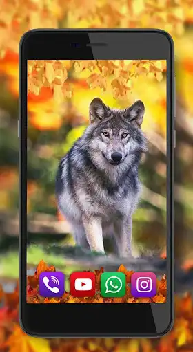 Play Autumn Wolf Live Wallpaper as an online game Autumn Wolf Live Wallpaper with UptoPlay