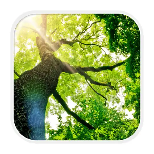 Play Auwald-Erlebnispfade APK Play Auwald-Erlebnispfade APK