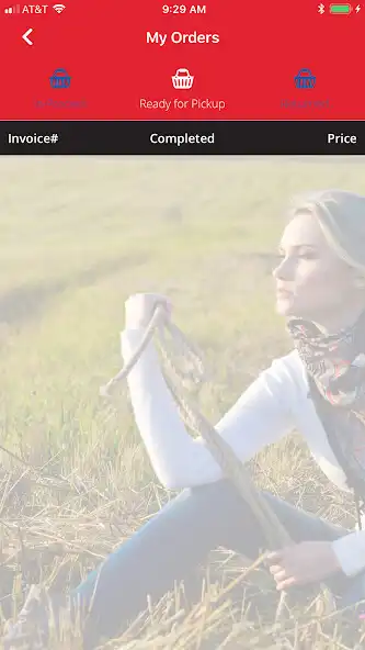 Play Avalon Cleaners Play Avalon Cleaners