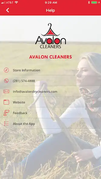 Play Avalon Cleaners Play Avalon Cleaners