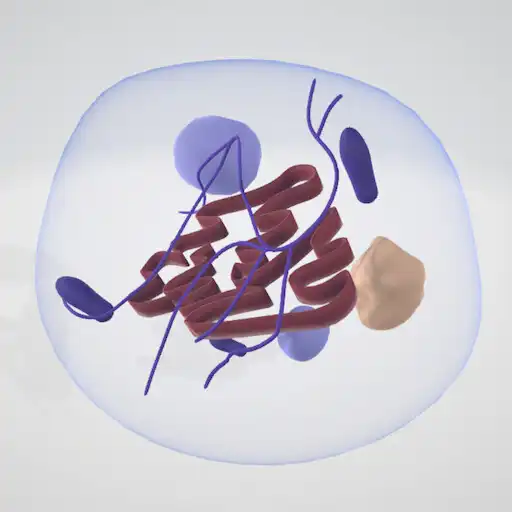 Play A-V-E-N-GE-R APK Play A-V-E-N-GE-R APK