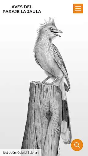 Play Aves del Paraje La Jaula  and enjoy Aves del Paraje La Jaula with UptoPlay