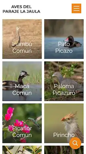 Play Aves del Paraje La Jaula as an online game Aves del Paraje La Jaula with UptoPlay