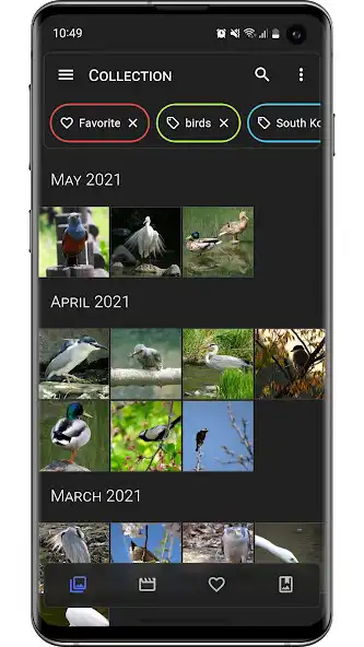 Play Aves Gallery and enjoy Aves Gallery with UptoPlay Play Aves Gallery and enjoy Aves Gallery with UptoPlay