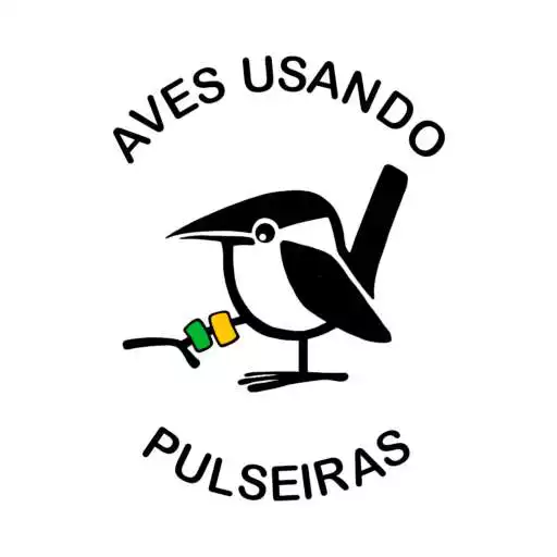 Play Aves Usando Pulseiras APK Play Aves Usando Pulseiras APK