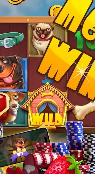 Play Avia Dog House as an online game online Avia Dog House with UptoPlay Play Avia Dog House as an online game Avia Dog House with UptoPlay
