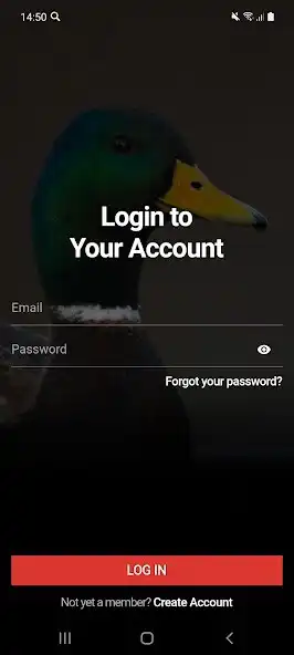 Play AvianX  and enjoy AvianX with UptoPlay