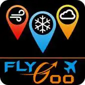 Free play online Aviation Weather Group Manager APK