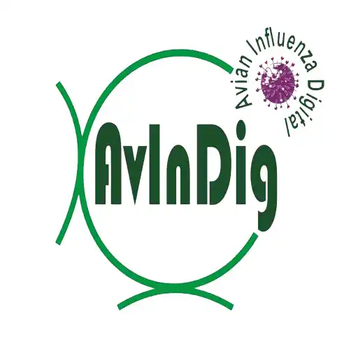 Play AvInDig APK Play AvInDig APK