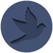 Free play online Avis24 APK